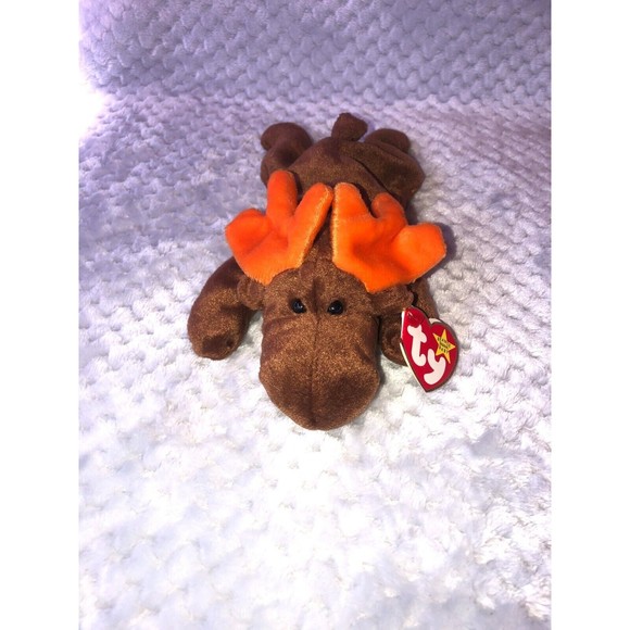 TY Beanie Baby Chocolate the Moose - Picture 8 of 10